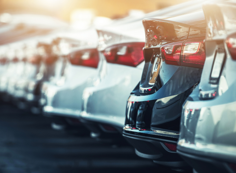 Професійний сервіс UNIVERSALNA